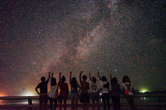 Okinawa Miyako Star Gazing & Subtropical Jungle Night Tour - Key Points Before You Go
