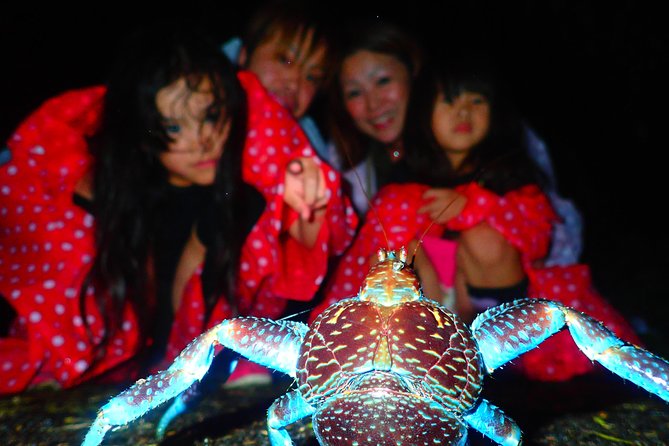 Okinawa Miyako Star Gazing & Subtropical Jungle Night Tour - Why Miyakojima Night Sky Feels Special