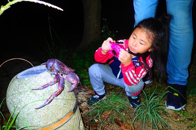 Okinawa Miyako Star Gazing & Subtropical Jungle Night Tour - Price and Value for a 1.5 Hour Night Experience