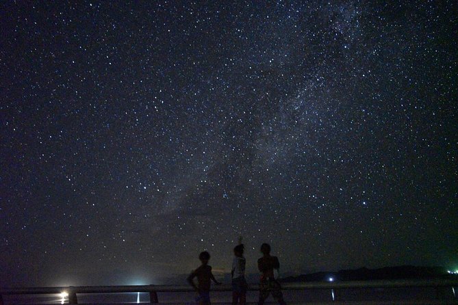 Okinawa Miyako Star Gazing & Subtropical Jungle Night Tour - Meet Your Guide in Kurimajima, and Plan for Night Timing