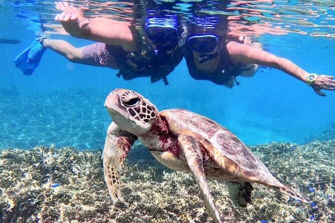 Okinawa Miyakojima 1 day Sea Turtle Snorkeling & Pumpkin Cave & Sea Kayak - Why the Miyakojima combo tour works so well