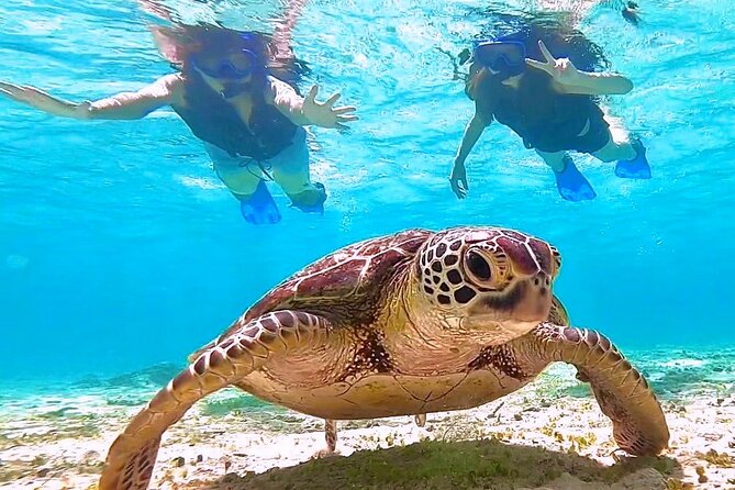 Okinawa Miyakojima 1 day Sea Turtle Snorkeling & Pumpkin Cave & Sea Kayak - Lunch break: a short reset before the canoe and cave