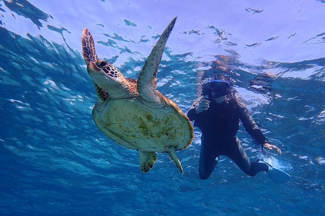 Okinawa Miyakojima 1 day Sea Turtle Snorkeling & Pumpkin Cave & Sea Kayak - Photos: free photo data, waterproof shooting, and realistic expectations