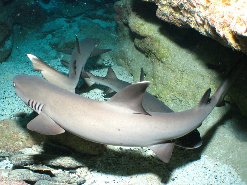 Okinawa: Naha: 1 day Kerama Islands diving‣ license required - Inside the boat: equipment, heaters, and boat coats for cold days