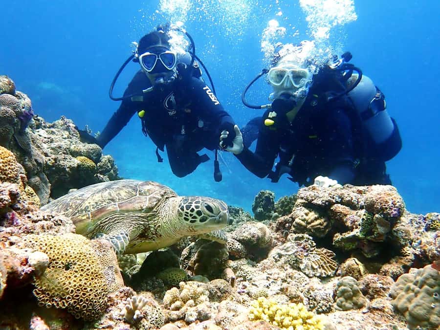 Okinawa:Naha:Kerama Island Experience 1Dive and Snorkeling - The Three-Stop Kerama Route and What Each Part Is For