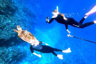 Okinawa:Naha:Kerama Island Experience 1Dive and Snorkeling