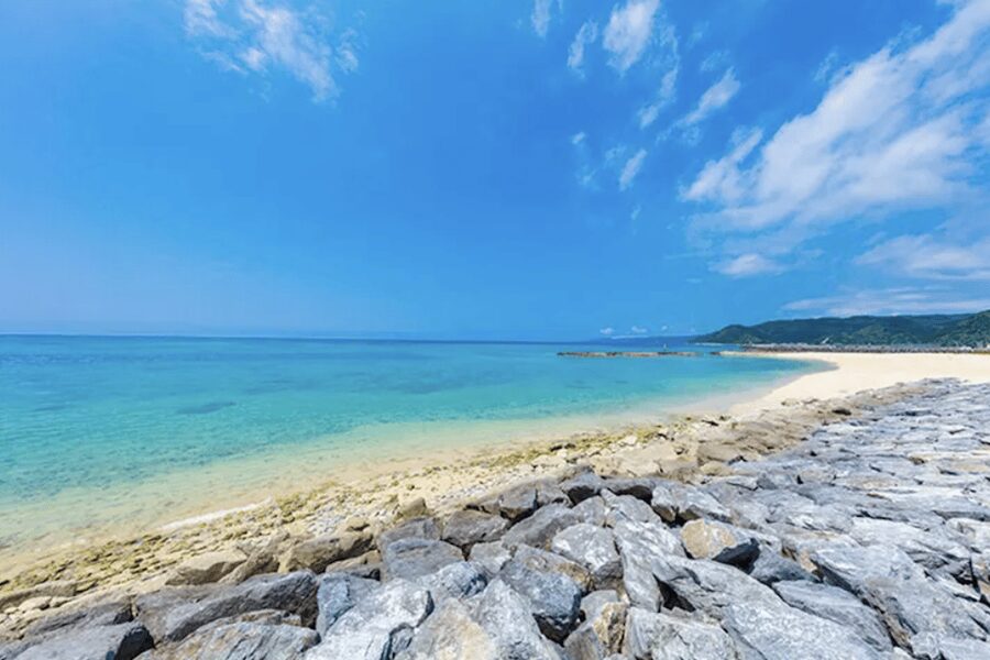 Okinawa Private Custom Tour with Local Guide - Nago Pineapple Park: fresh fruit and a calmer tropical walk