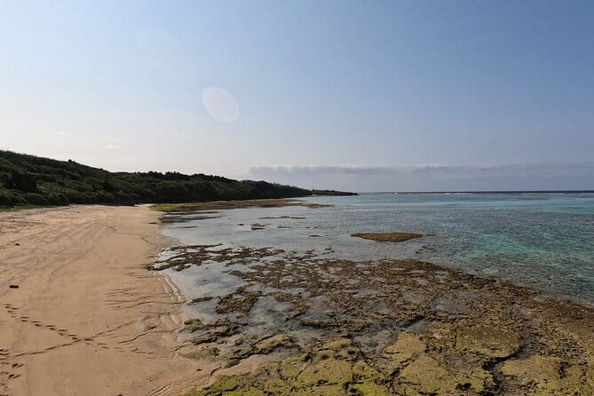 Okinawa's Gorgeous Beach & Snorkel Tour: Private & Customised - Northern Okinawa, The Easy Way: Private Beaches Plus Snorkel Planning