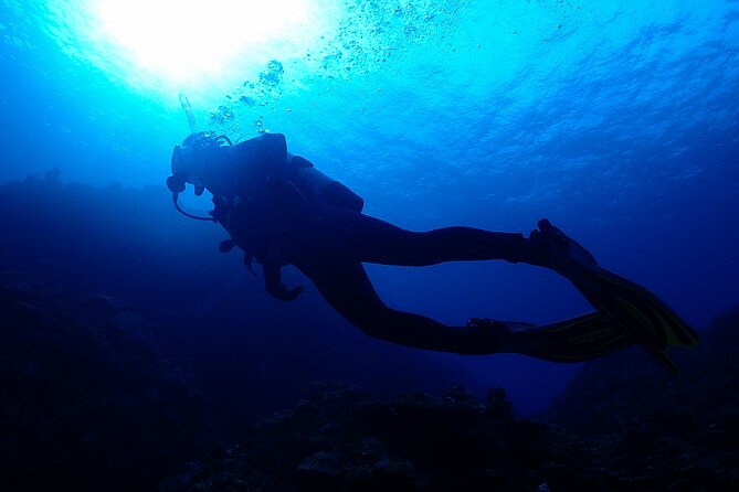 Okinawa Scuba Diving For Certified Divers (3 boat dives + Lunch) - Key Things That Make This Tour Worth Your Time