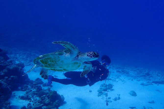 Okinawa Scuba Diving For Certified Divers (3 boat dives + Lunch) - Getting to Ocean Lounge on Okinawa Time