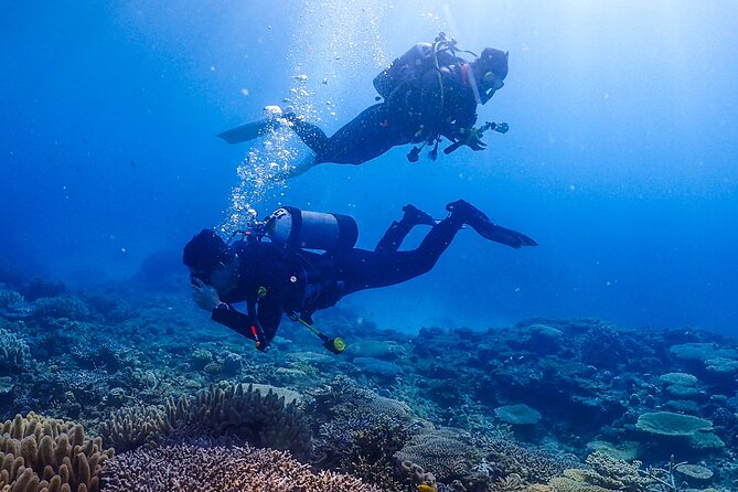 Okinawa Scuba Diving For Certified Divers (3 boat dives + Lunch) - Lunch Break at the Harbor: Menu Choices, Local Fisherman Style