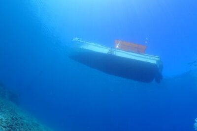 Okinawa Scuba Diving For Certified Divers (3 boat dives + Lunch)