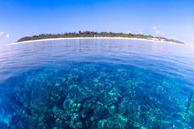 Okinawa Scuba Diving For Certified Divers (3 boat dives + Lunch) - Gear, Photos, and the Small Stuff That Makes It Easy