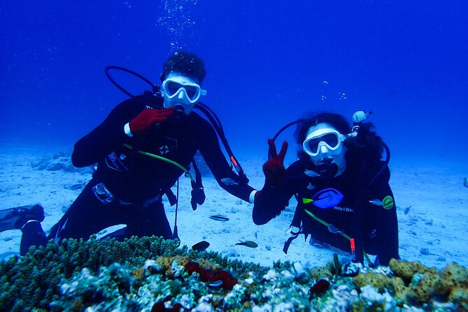 Okinawa: Scuba Diving Tour with Wagyu Lunch and English guide - Key Highlights You Can Feel in Real Time