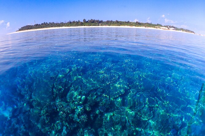 Okinawa: Scuba Diving Tour with Wagyu Lunch and English guide - What You Pay, and Why It Can Be Good Value