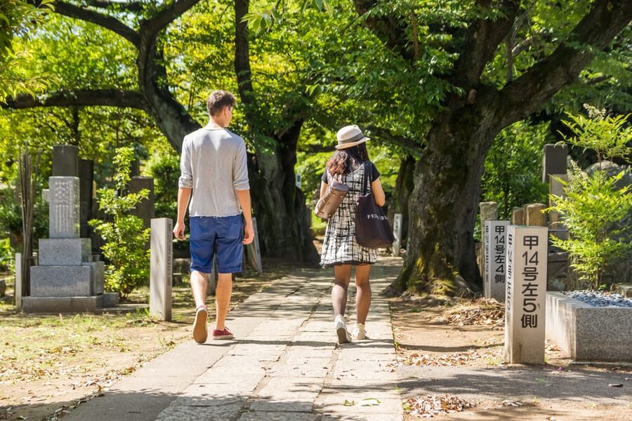 Old and Nostalgic Tokyo: Half-Day Yanaka Walking Tour - Who This Yanaka Tour Suits Best (and Who Might Want to Skip It)
