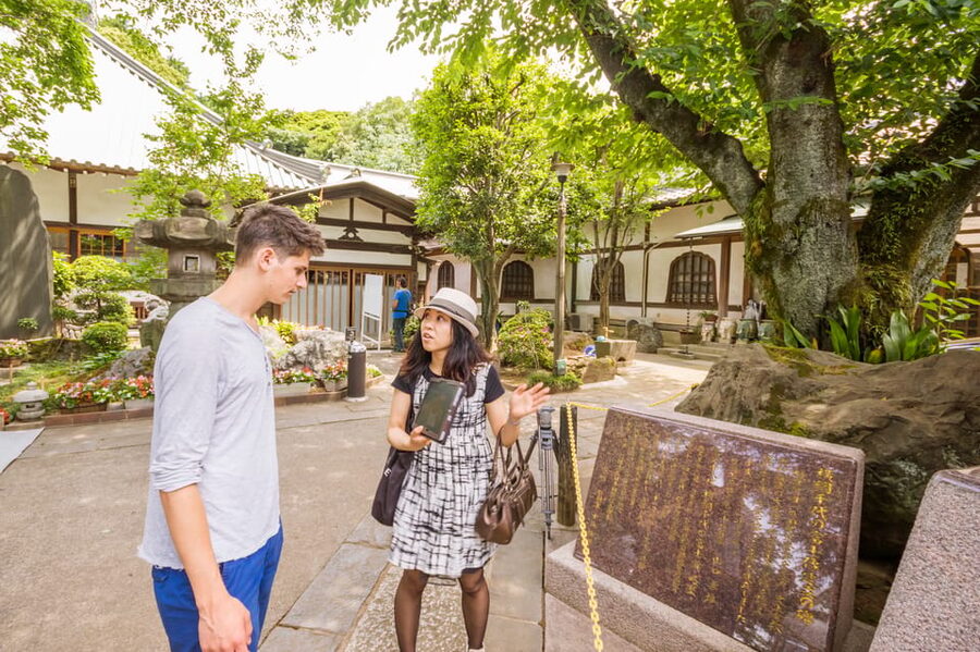 Old and Nostalgic Tokyo: Half-Day Yanaka Walking Tour - Yanaka-Ginza and Snack Time on Old-Style Streets