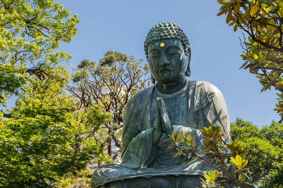 Old and Nostalgic Tokyo: Half-Day Yanaka Walking Tour - Value Check: Is $83 for 3.5 Hours a Smart Buy?
