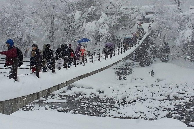 [One-day bus tour departing from Kanazawa Station] Shirakawa-go and Gokayama - Two World Heritage Villages Enjoyable Bus Tour - Who Should Book This Tour, and Who Might Prefer Something Else