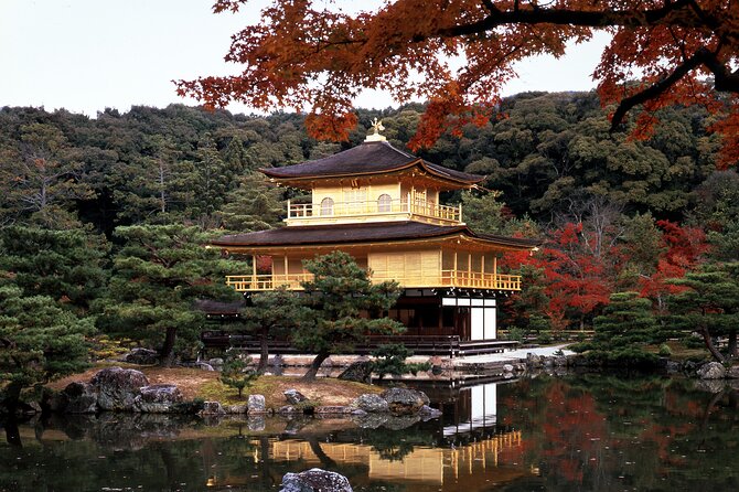 One-Day Tour of Kyoto's Highlights from Osaka/Kyoto - Fushimi Inari Taisha, torii gates, and how to not rush the magic