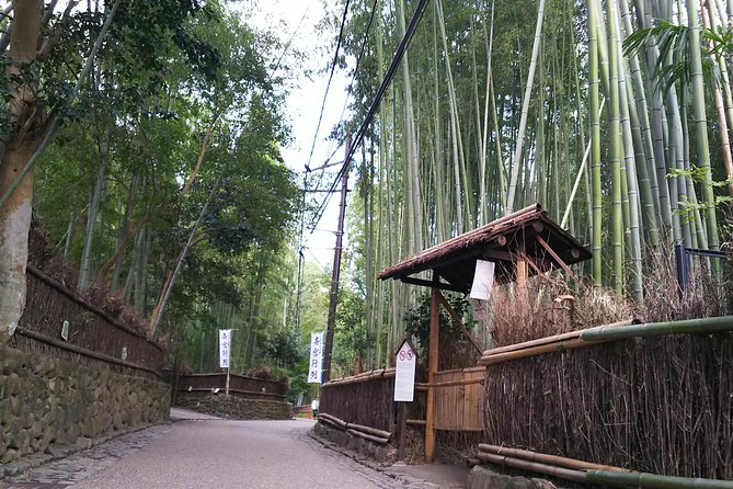 One-Day Walking Tour : Enjoy Kyoto to the fullest! - Price and Value: What $131.14 Really Buys