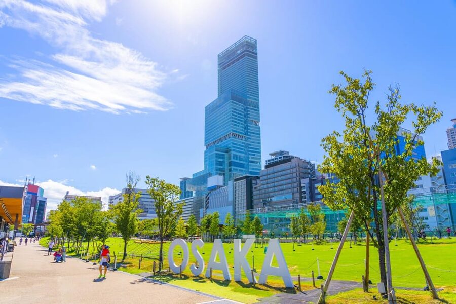Osaka: 1-Day Private Customizable Trip by Car - Key things you will like about this Osaka car day