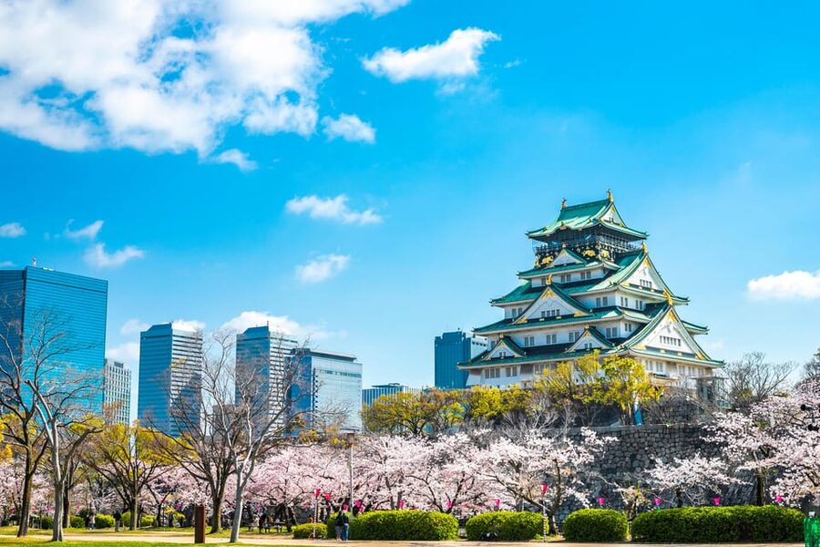 Osaka: 1-Day Private Customizable Trip by Car - How the 9-hour private car day actually works