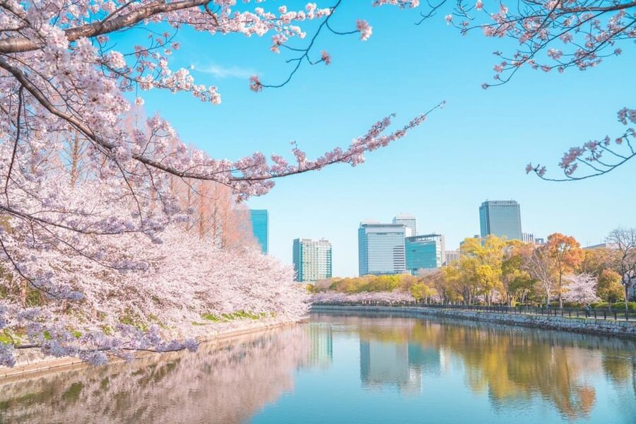 Osaka: 1-Day Private Customizable Trip by Car - Shitenno-ji and Shinsekai, a simple way to feel Osaka’s mix