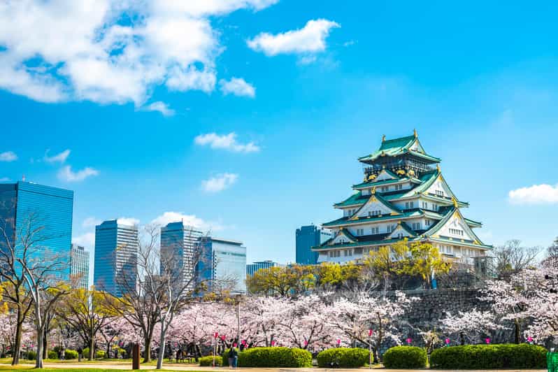 Osaka: 1-Day Private Customizable Trip by Car - Umeda Sky Building and the Osaka skyline view window