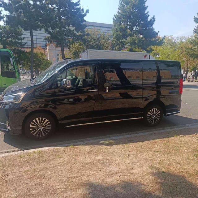 Osaka: 1-Day Private Customizable Trip by Car - Who this private Osaka car day is best for