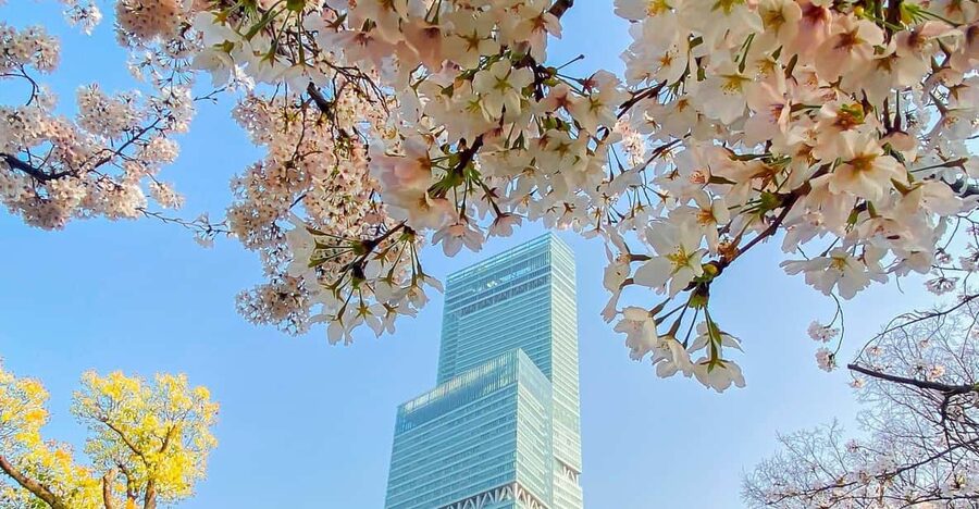 Osaka: Abeno Harukas 300 Observatory E-Ticket - Inside the Tower: Shops, Hotels, and Osaka Charm in One Place