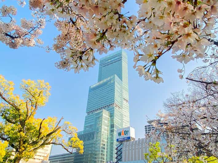 Osaka: Abeno Harukas 300 Observatory E-Ticket - Tennoji to the 60th Floor: Timing and Check-In That Prevents Stress