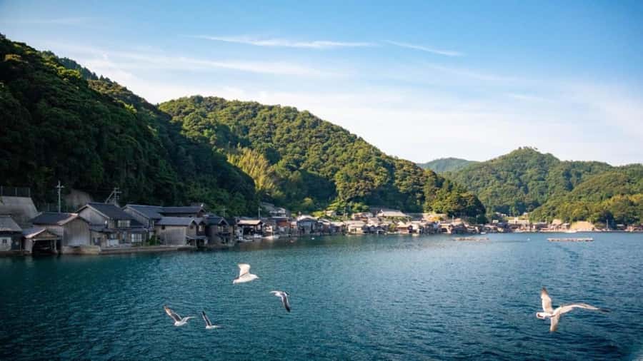 Osaka: Amanohashidate, Ine Bay, Miyama with lunch Day Trip - Who This Day Trip Fits, and Who Might Want to Skip It