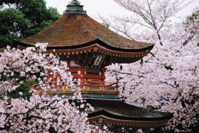 Osaka and Kansai Private Customized Day Tour