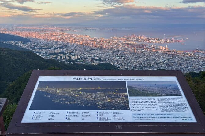 Osaka and Nara Attractive One Day private Tour - Umeda Sky Building: big-city views for a small extra fee