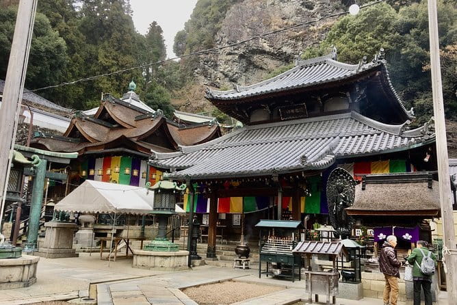 Osaka and Nara Attractive One Day private Tour - Nara Park: deer time plus an easy base for photos