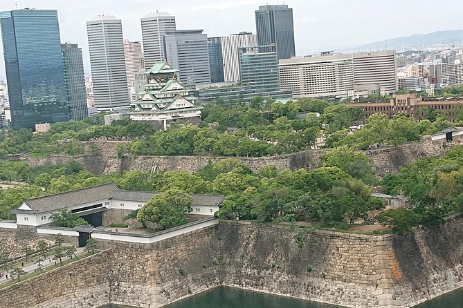 Osaka Castle & Dotonbori Lively One-Day Walking Tour - Key highlights worth noting before you go