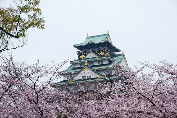 Osaka Castle & Samurai History Walking Tour - Key Highlights You Should Care About