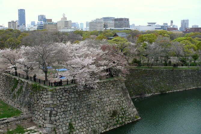 Osaka Castle & Samurai History Walking Tour - Meeting Point, Walking Pace, and How the 3 Hours Flow