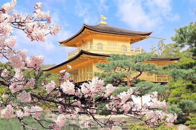Osaka Castle & Samurai History Walking Tour - Price and Ticket Math: Is $22 a Smart Deal?