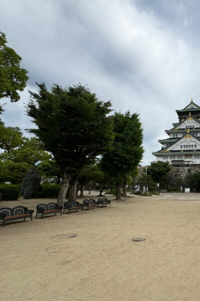 Early Morning Osaka Castle Guided Tour, Avoid Crowds