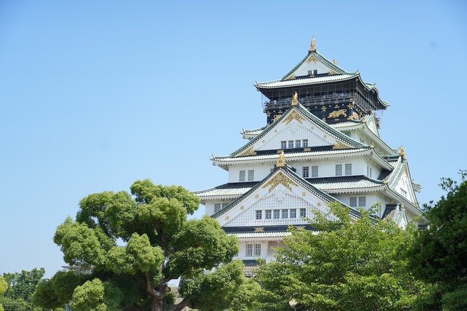 Osaka Early Morning Tour with English-Speaking Guide Dotonbori - Nipponbashi Den Den Town: Anime and Gaming Fans Get Their Fix