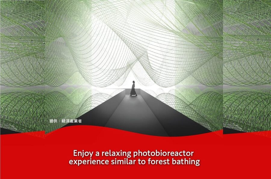 Osaka: Expo 2025 Osaka, Kansai, Japan Admission Ticket - What you’ll see once you arrive in Kansai