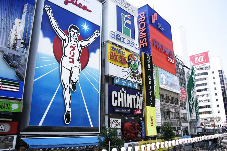 Osaka: Full-Day Sightseeing Tour by Private Vehicle - How the private guide keeps the day feeling yours