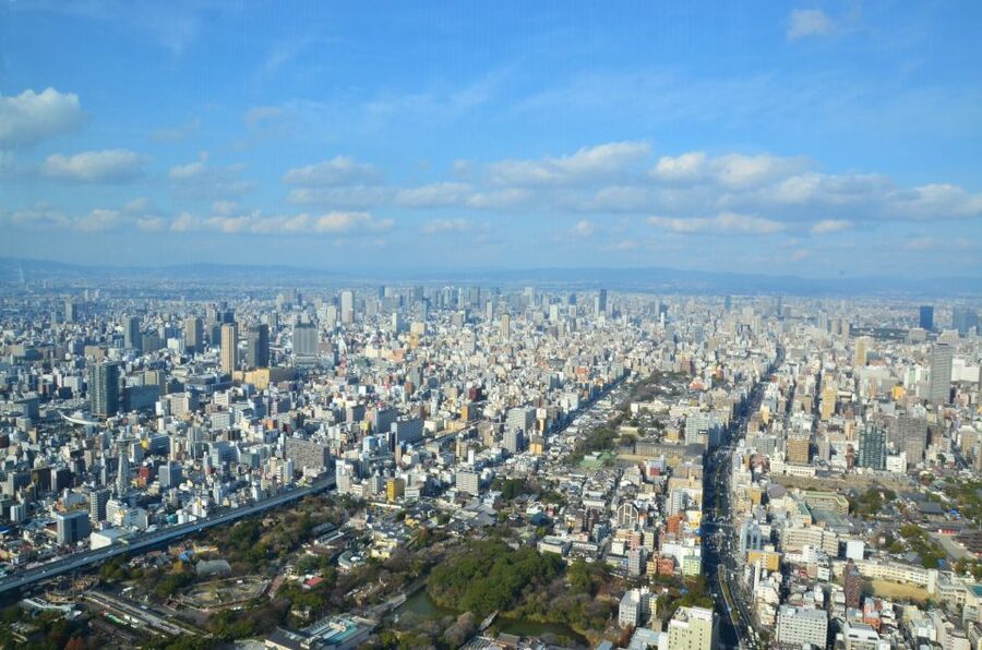 Osaka: Full-Day Sightseeing Tour by Private Vehicle - Dotonbori: reading Times Square energy without getting lost in it