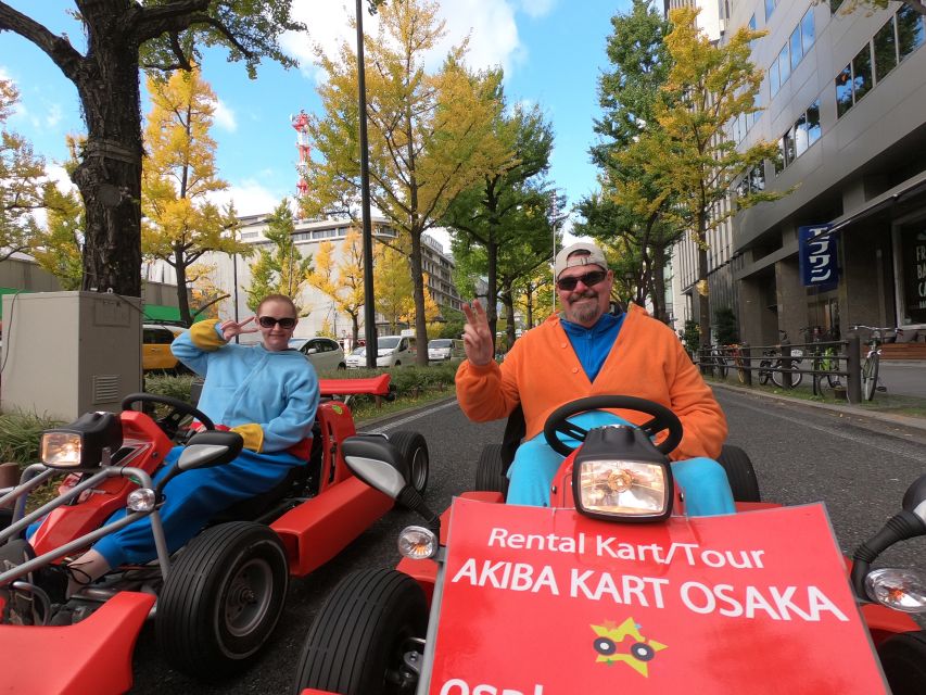 Osaka: Guided Go Karting Tour in a Funny Costume - Gear, body requirements, and the passport-to-drive checklist