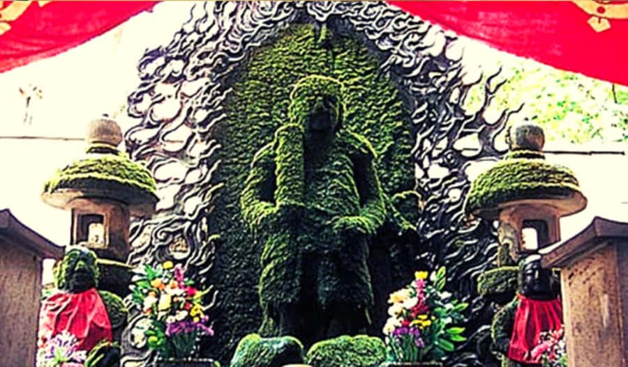 Osaka: Hotspots & Hidden Gems Walking Tour Private or Group - Key things that make this Osaka walking tour different