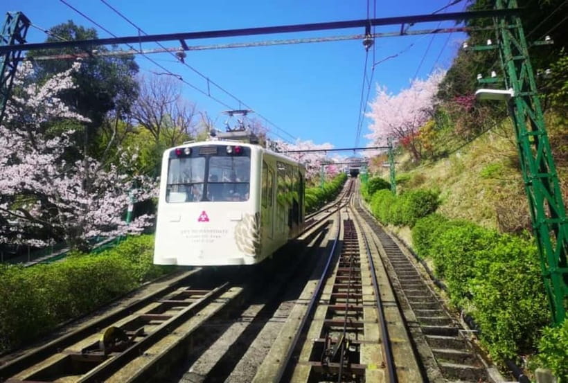 Osaka/Kyoto: Amanohashidate & Miyama Tour with Boat & Lunch - Who this tour is best for, and who should skip it