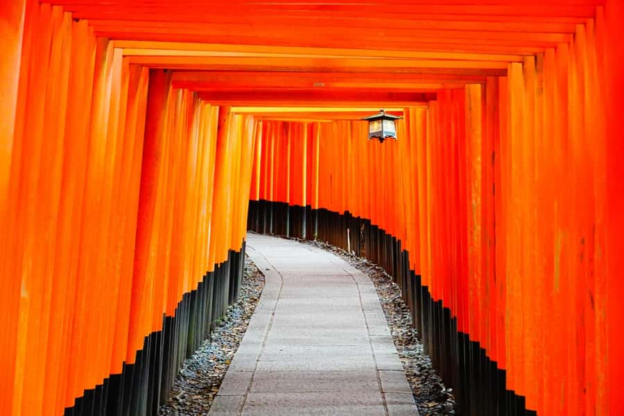 Osaka/Kyoto: Arashiyama, Nara & Fushimi Inari Shrine w/Lunch - Arashiyama Bamboo Forest: Why One Walk Can Feel Like a Reset