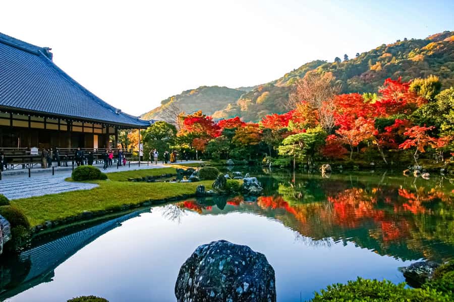 Osaka/Kyoto: Arashiyama, Nara & Fushimi Inari Shrine w/Lunch - Fushimi Inari Taisha Torii Gates: How to Enjoy the Tunnel Without Rushing